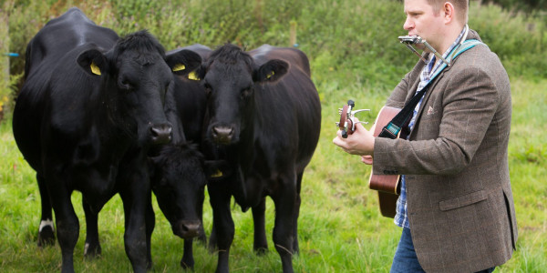 Music festival organiser Colin Clyne serenaded the Mackie's of Scotland dairy herd - captured in PR photography