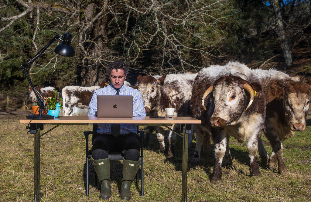 Tech PR Photography, cowfield office, Finderne Development Trust.