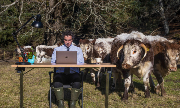 Tech PR Photography, cowfield office, Finderne Development Trust.