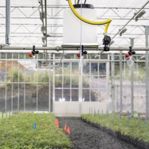 PR Scotland, Akre's Fife-based tree nursery